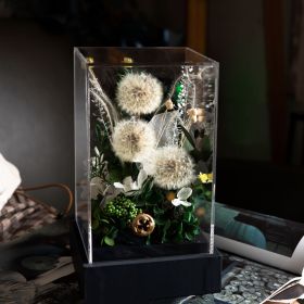 Home Fashion Simple Preserved Flower Dandelion Decorative Craft Ornaments (Option: Acrylic)